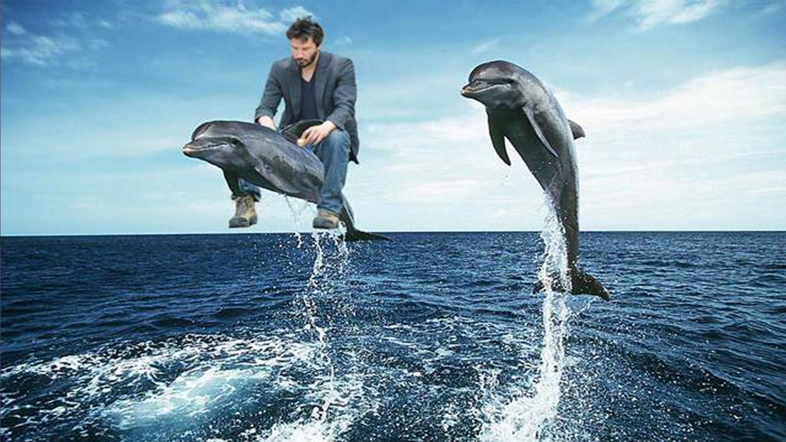 Dolphin Keanu Sad Meme
